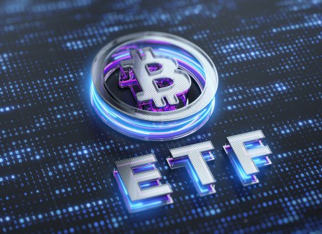 us-spot-bitcoin-etfs-flip-nakamoto-to-become-largest-btc-holder,-here’s-how-much-they’ve-bought