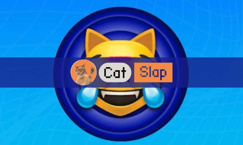 mog-coin-price-outlook:-mog-pumps-18%,-could-catslap-be-a-better-alternative?