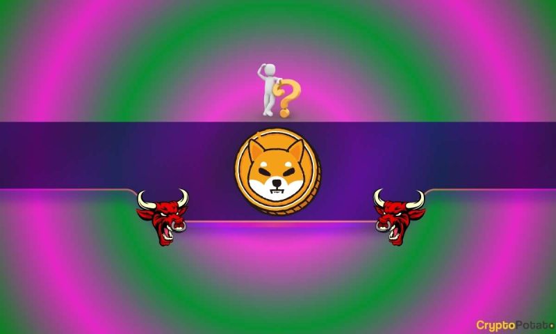3-reasons-why-the-shiba-inu-(shib)-price-may-head-north-soon