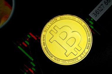 bitcoin-may-face-‘demand-shocks’-in-2025-due-to-growing-institutional-interest:-report