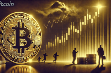 bitcoin-top-here?-what-historical-hodler-selloff-pattern-says
