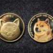 shiba-inu-falls-below-$0.00002631-as-bears-dominate-the-market,-time-to-buy?
