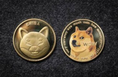 shiba-inu-falls-below-$0.00002631-as-bears-dominate-the-market,-time-to-buy?