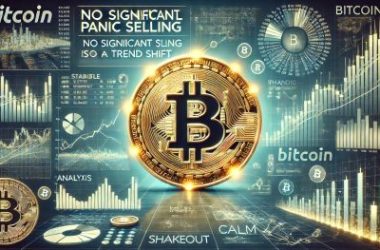 bitcoin-data-reveals-no-significant-panic-selling-in-the-market-–-shakeout-or-trend-shift?