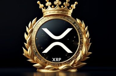 binance-altcoin-market-crowns-xrp-as-december’s-champion-–-details
