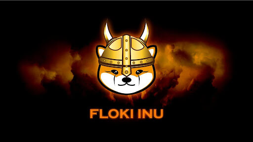 university-of-floki-launched