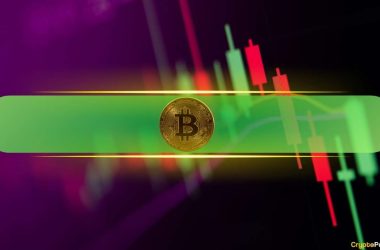 crypto-markets-recover-$100-billion-on-christmas-day-as-bitcoin-taps-$98k-(market-watch)