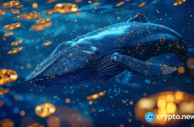crypto-whales-stockpile-these-3-altcoins-before-the-next-bull-run