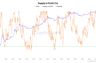 bitcoin’s-supply-in-profit-drops-to-88%