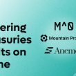 m^0,-mountain,-anemoy-to-power-treasuries-vaults-on-plume,-via-nest-staking-protocol