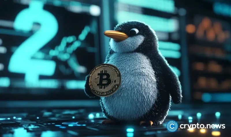 nft-market-slumps-50%,-pudgy-penguins-lead-market-downturn