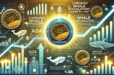 metrics-reveal-cardano-whale-accumulation-–-is-ada-poised-for-a-rally?