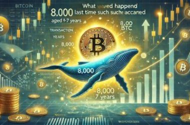 bitcoin-whale-moves-8,000-btc-aged-5-7-years-–-what-happened-last-time