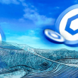 chainlink-whales-accumulate-$77-million-link-amid-price-correction – details