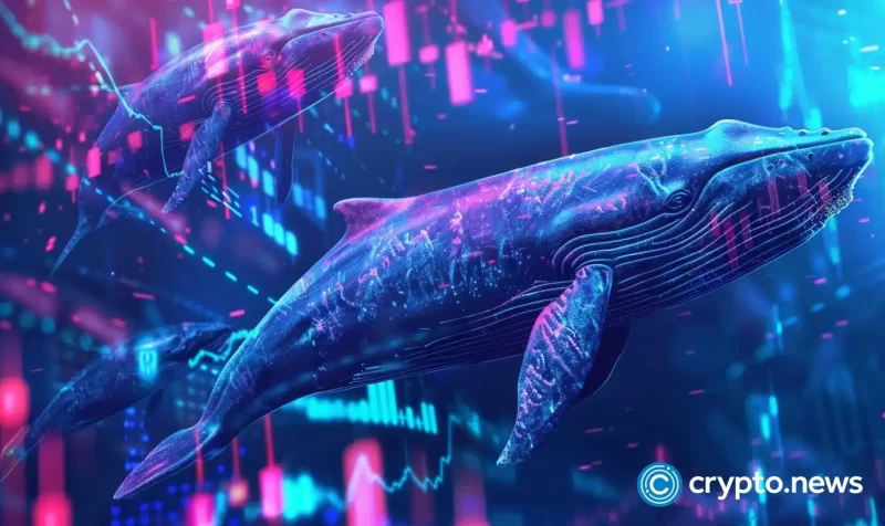 3-cryptocurrencies-to-transform-average-investors-into-whales