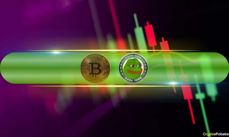 pepe-price-jumps-6%-daily,-bitcoin-recovers-to-$94k-after-monthly-low-(market-watch)