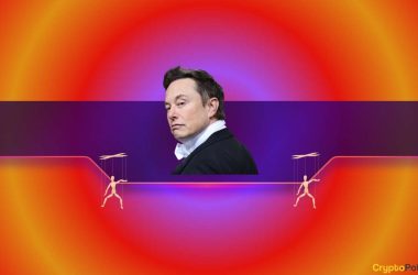 this-meme-coin-crashes-by-60%-after-another-elon-musk-interaction-on-x:-details