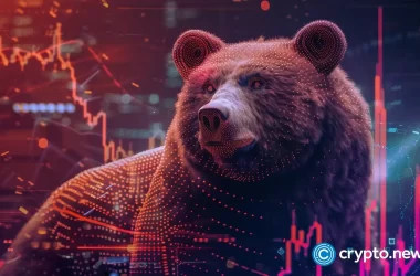 analyst-warns-of-a-multi-year-crypto-bear-market