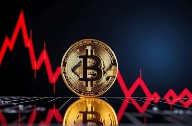 bitcoin-dominates-2024,-outperforms-gold-and-major-indices-–-details