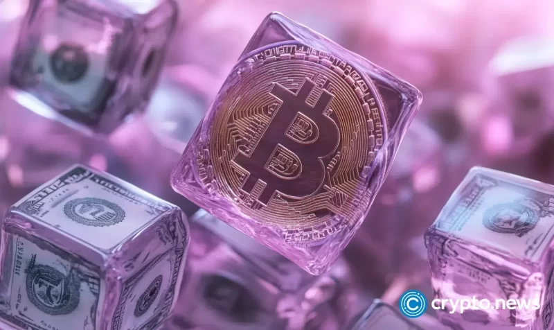 bitcoin-becomes-7th-largest-global-asset,-stablecoins-and-ai-drive-crypto-in-2024:-report