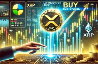 key-indicator-signals-buy-on-xrp-4-hour-chart-–-analyst-predicts-a-price-rebound