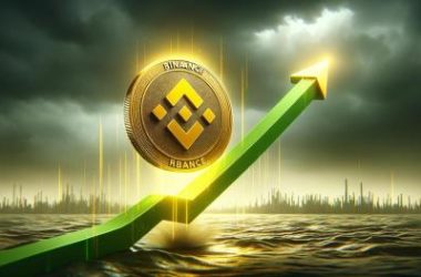 bnb-price-rebound-possible:-can-it-climb-back-to-$720?