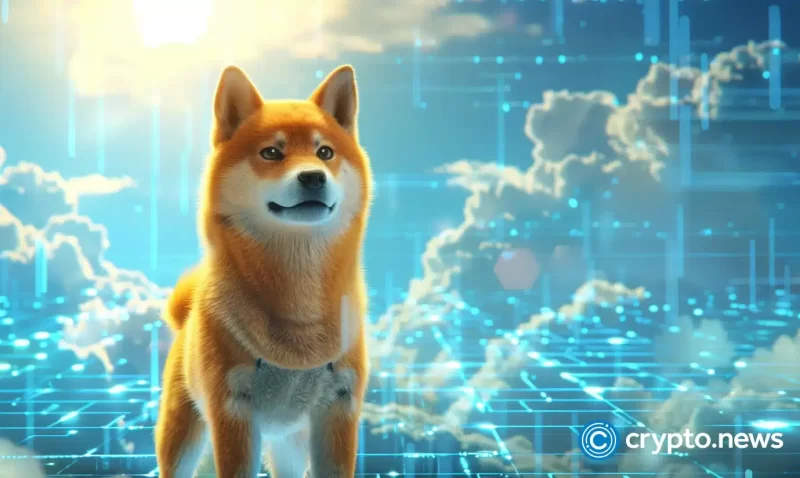 dogecoin-price-lags-while-rco-finance-gains-momentum-with-a-predicted-43,000%-run