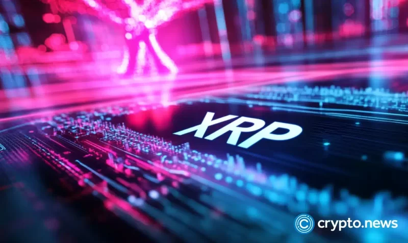 this-xrp-killer-could-turn-$800-into-$100,000-by-the-end-of-2025
