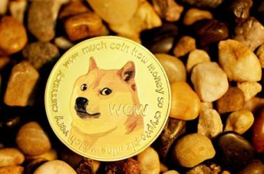 analyst-says-dogecoin-has-entered-another-bull-cycle,-puts-price-above-$20