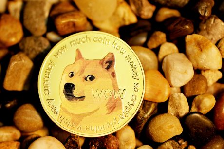 analyst-says-dogecoin-has-entered-another-bull-cycle,-puts-price-above-$20