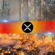 ripple-donates-$100k-in-xrp-for-california-wildfire-relief-efforts