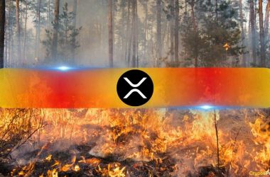ripple-donates-$100k-in-xrp-for-california-wildfire-relief-efforts