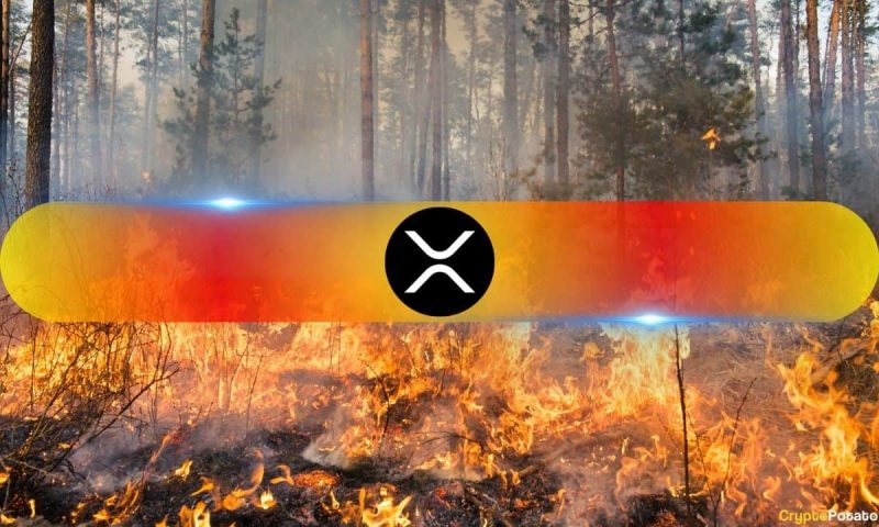ripple-donates-$100k-in-xrp-for-california-wildfire-relief-efforts