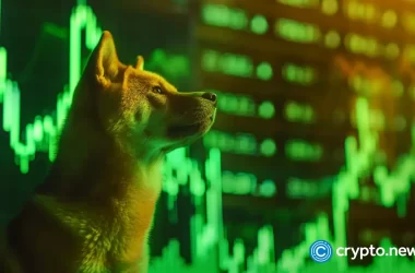 rising-shib-alternative-could-make-$14,500-from-$300