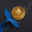 ethereum-whales-double-holdings-to-43%-post-merge-–-details