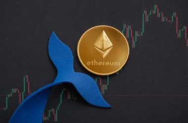 ethereum-whales-double-holdings-to-43%-post-merge-–-details