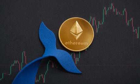 ethereum-whales-double-holdings-to-43%-post-merge-–-details