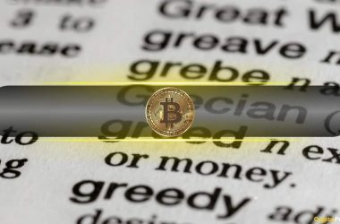 fomo-and-greed-dominate-bitcoin-market-as-trump-returns-to-the-white-house