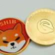 shiba-inu-burn-rate-sees-major-600%-jump-in-only-24-hours,-will-shib-price-follow-suit?