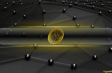 bitcoin-demand-weakens-but-large-investors-enter-reaccumulation:-cryptoquant