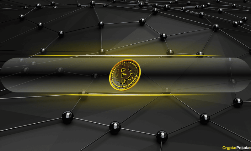 bitcoin-demand-weakens-but-large-investors-enter-reaccumulation:-cryptoquant