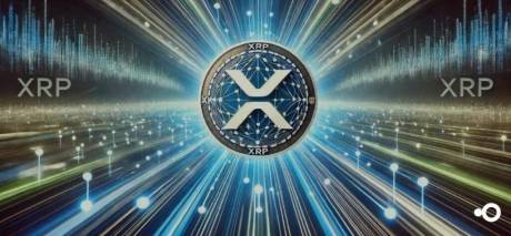 xrp-rich-list:-top-20-wallets-control-over-50%-of-supply,-but-who’s-number-1?