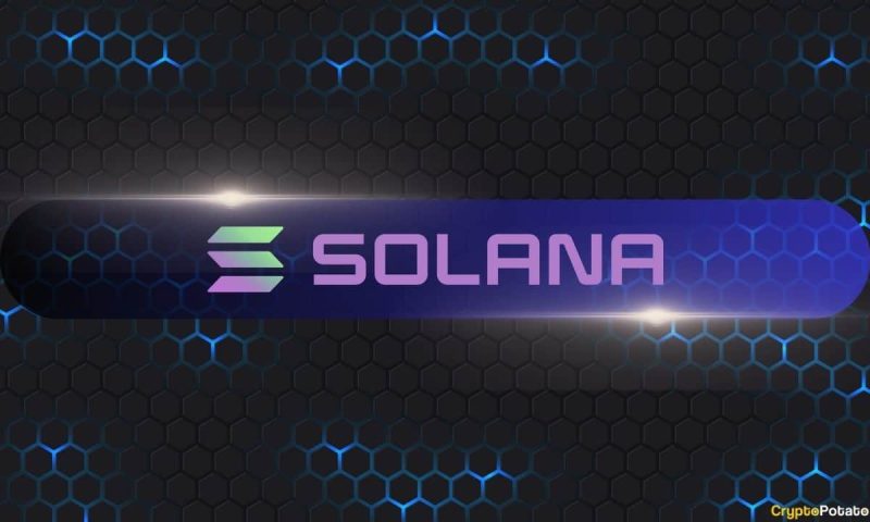 solana-to-rip?-elon-musk-reportedly-planning-a-blockchain-revolution-for-us-government