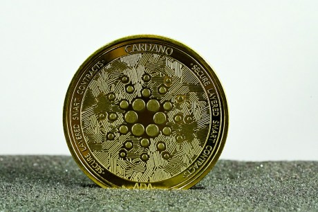 ‘no-need-to-panic’:-cardano-(ada)-holding-key-level-despite-14%-drop