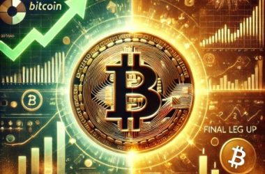 bitcoin’s-next-move:-a-final-leg-up-or-just-the-beginning?-analyst-weighs-in