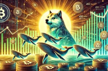 dogecoin-whales-accumulate-450-million-doge-during-recent-price-dip-–-time-for-a-breakout?