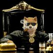 dogecoin-etf-moves-closer-as-bitwise-files-s-1-with-the-sec