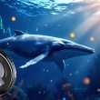 dogecoin-whale-with-$100m-portfolio-compares-this-$004-altcoin-to-doge-at-$0.0002,-here’s-when-to-buy