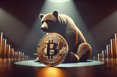 no-more-bitcoin-bear-markets-ever?-fund-cio-explores-new-market-reality