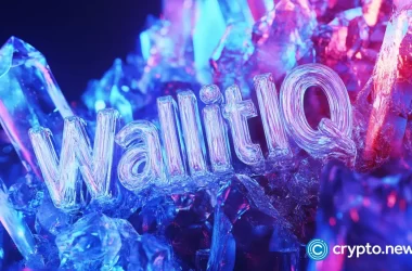 a-look-at-wallitiq’s-role-in-navigating-spot-ethereum-etfs-effectively